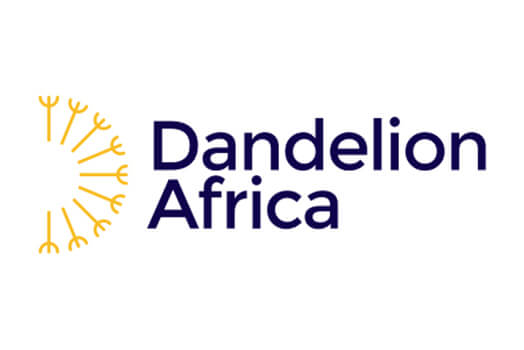 Dandelion Africa